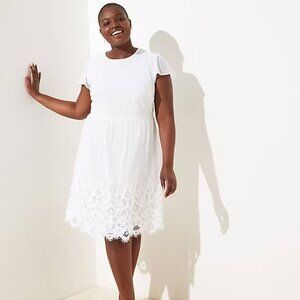 LOFT Lace Dress Women's Size 12 | 14